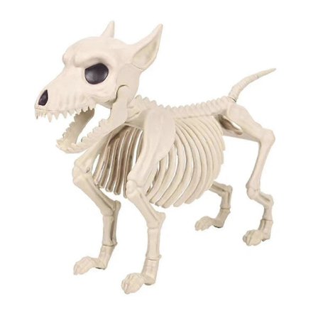 Skelet Hund Halloween Dekorationer - Flytbare Skelet Dyr Skelet med Flytbare Led Hallowe' Photo Color