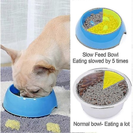 Reptil Skildpadde Vandskål Madskål Svømmepøl Til Skildpadde Reptiler Gekko Slanger Drop Delivery Reptil Foderautomat