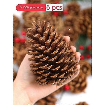 11-12 cm 6 stk. Naturlige Kogler, Store Kogler, Naturlige Kogler Dekorationer Store Kogler til Efterårs- og Vinterdekoration