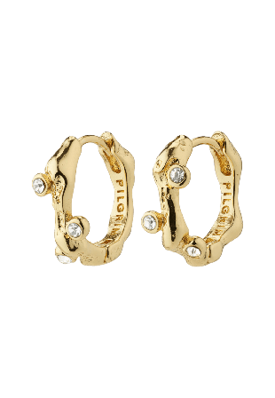 Pilgrim Hermione Earrings Smycken & klockor Dam Guld ONESIZE