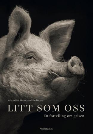 Litt som oss - Bok av Kristoffer Hatteland Endresen - Hardback