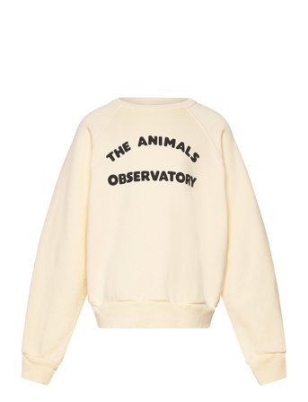 Shark Kid Sweatshirt White Logo Cream THE ANIMALS OBSERVATORY