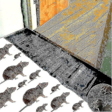 5/10/20 stk. Musefelle, Muse Lim Musefelle, Musefelle