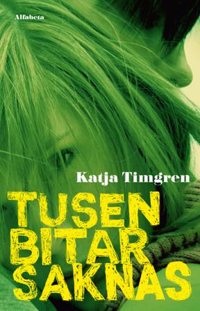 Tusen bitar saknas - Bok av Katja Timgren - Kartonnage