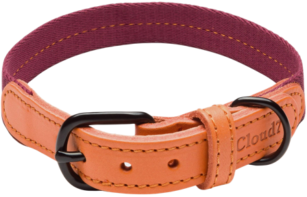 Cloud7 Dog Collar Madeira L-XL Papaya
