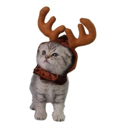 Julekostyme for kjæledyr katt hund gevir reinsdyrhorn kjæledyr