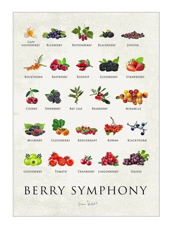 Poster & Frame Simon Holst - Berry Symphony - Multi/patterned - 30X40CM