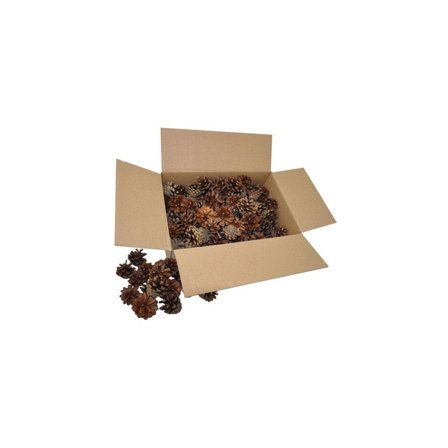 PLAYBOX Tallkottar 125/FP 125/fp - Lyreco - Skola och förskola - Hobbymaterial - Pyssel