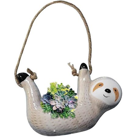 Romdekorasjon Hengepotte Sukkulent Plante Dyr Plantepotte Sukkulent Plantepotte