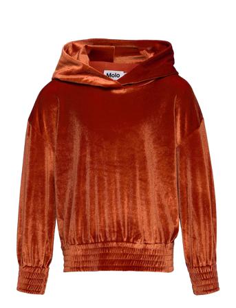 M Lle Hoodie Trøje Orange Molo