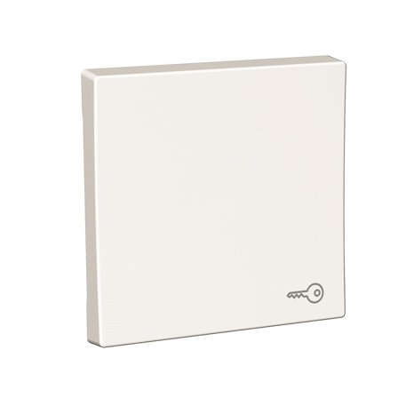Schneider Electric Exxact Vippearm hvit, med symbol Nøkkelsymbol, Strømbrytere & vegguttak