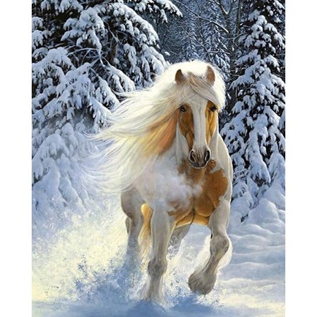 30 x 40 cm, cheval blanc neige Diamond Painting Broderie Diaman