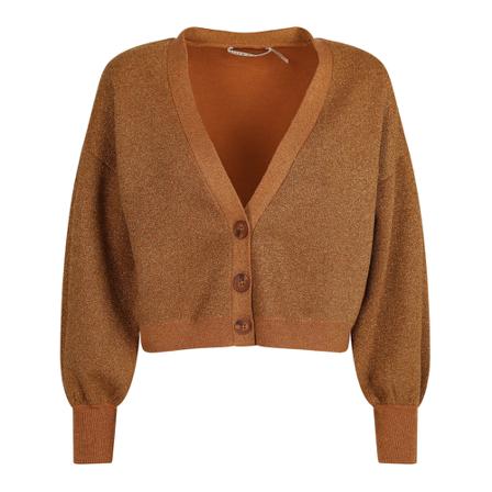 Alice + Olivia, Cropped length cardigan Bruin, Dames, Maat:S