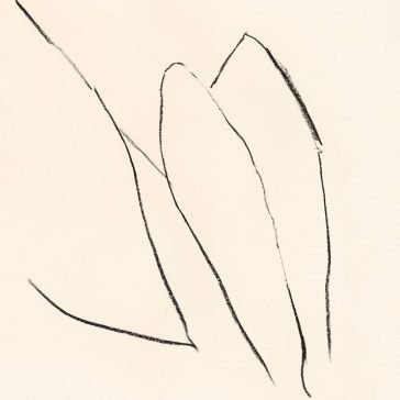 Voices of the air Jon Porras