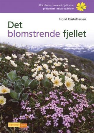 Det blomstrende fjellet - Bok av Trond Kristoffersen - Hardback