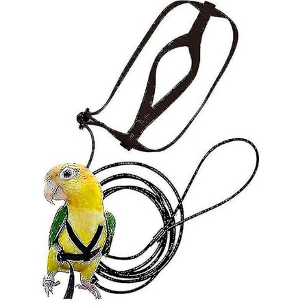 Jx.pet Fugle Sele Justerbar Papegøye Fugle Sele Bånd Kjæledyr Anti-bite Trenings Tau Utendørs Flyging