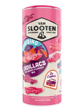 Van SlootenFruit flavored winegums 0.32kg