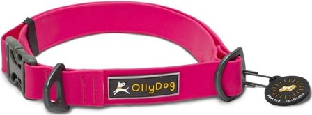OllyDog Tilden Collar kaulapanta, pinkki
