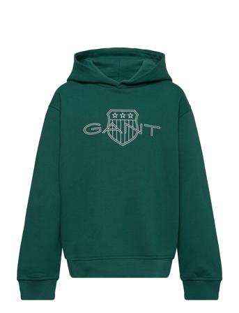 Relaxed Contrast Shield Hoodie Tops Sweat-shirts & Hoodies Hoodies Green GANT