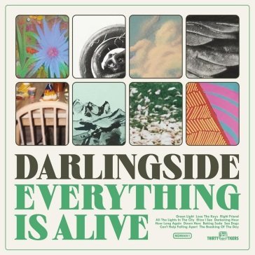 Everything is alive DARLINGSIDE