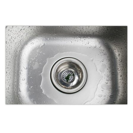 Diskhossil i rostfritt stål med bred kant