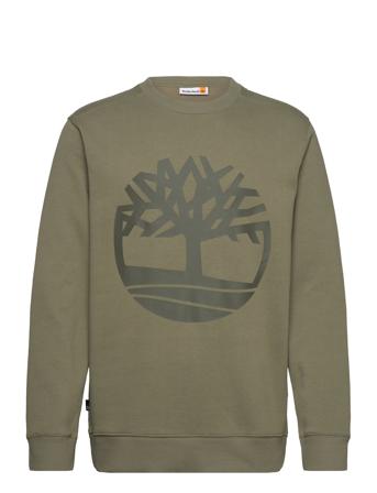 Kennebec River Tree Logo Crew Neck Sweatshirt Cassel Earth/Grape Leaf Timberland Green