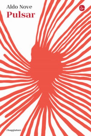 Pulsar Aldo Nove