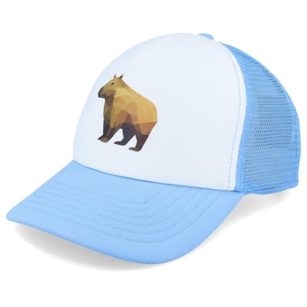 Kiddo Cap - Wit trucker Cap - Kids Geometry Capybara Skyblue/White Foam Trucker @ Hatstore