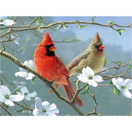 5d Diy Diamond Painting För Vuxna Barn Fåglar Blomma Full D