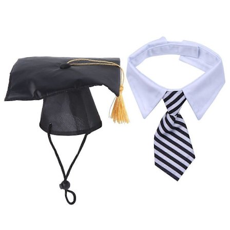 Hund Examenshatt Kreativ Husdjur Huvudbonad Hund Examensfest Slips Fotorekvisita (1 st Mortelbräda, 1 st Slips, Storlek S)