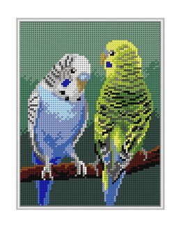 Stickpackung Bild Wellensittich - Orchidea