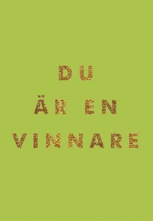 Du är en vinnare - Bok - Inbunden
