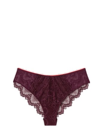 Understatement Underwear | Lace Cheeky | XXL