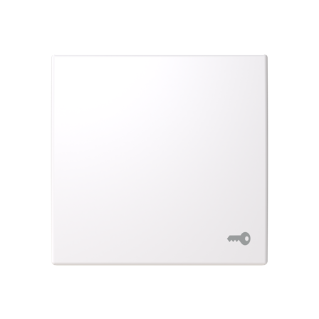 ABB Saga 2520 TR-916-510 Vippe med pregingsnøkkel, Strømbrytere & vegguttak