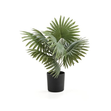 Kunstig plante EVERGREEN, palme, H480 mm, 1-pk.