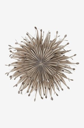 Jotex - SARGAS Adventsstern ø 60 cm Greige - Kaufe Adventssterne bei Jotex