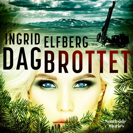 Dagbrottet - Bok av Ingrid Elfberg - Kartonnage