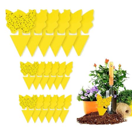 20 -Pack Flycatchers - Fly Trap - Butterfly