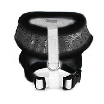 Puppy Angel - Stars on my mind Sele