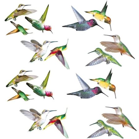 2 sæt kolibri-klistermærker, elektrostatisk kollisionsbeskyttelse