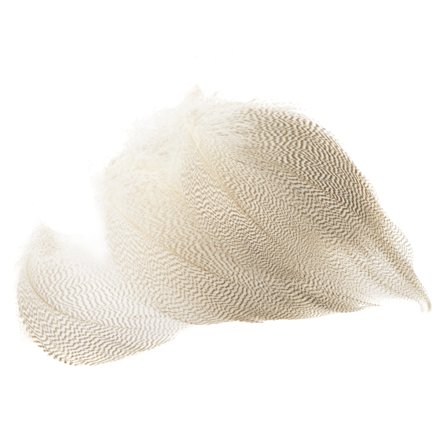 Mallard Barred Flank Large Select - Natural