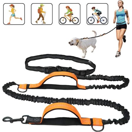 1 st (orange) Handsfree hundkoppel, dubbelt elastiskt handtag, dubbelt