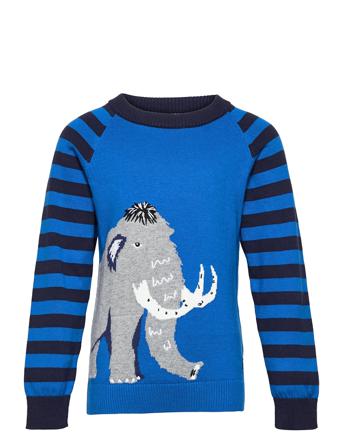 Zany Blue Joules