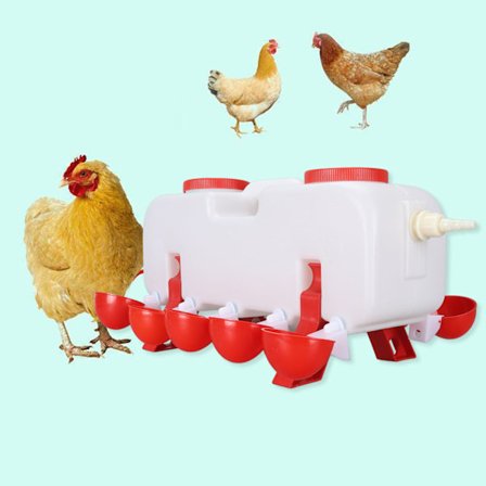 Vannautomat for høns 10L Stor Kapasitet Toppfylling Vannautomat for Fjærfe med 10 Vannkopper for And Gås Helautomatisk-XF11-