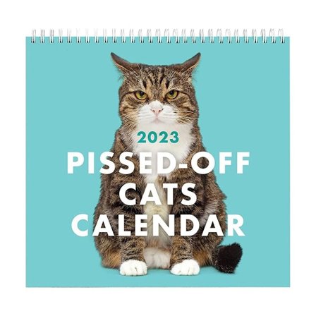 Pissede Katte Kalender Gammel Kat Kalender Sjov Kat Væghængt