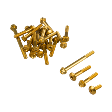 Motorschraubensatz Valter Moto Gold - Kawasaki Ninja 300 ABS 2013-2016