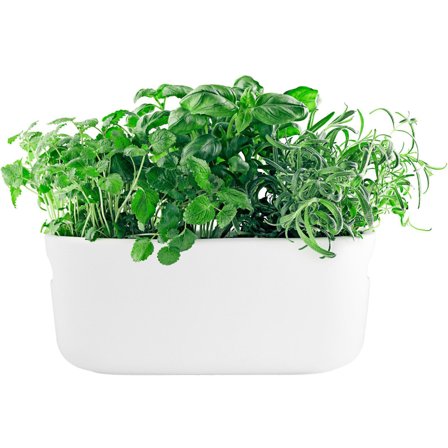 Eva solo Selvvandende Herb Organiser Hvid | KitchenOne