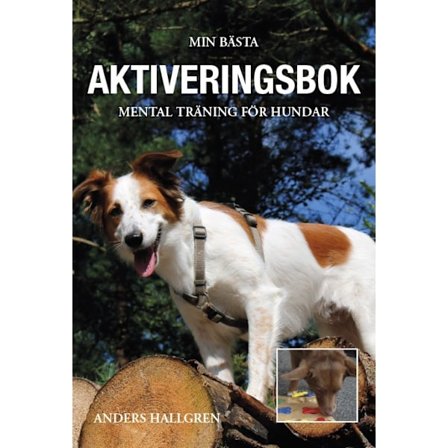 Min bästa aktiveringsbok 9789163989902