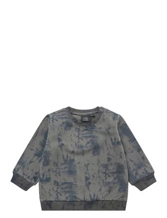Sweat Sweat-shirt Tröja Grå Petit By Sofie Schnoor