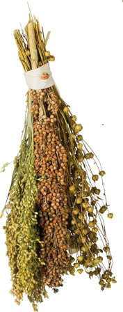 Jr Farm Solmoden Hirse - 130g